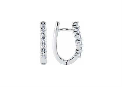 Rhodium Plated | Fashion Earrings